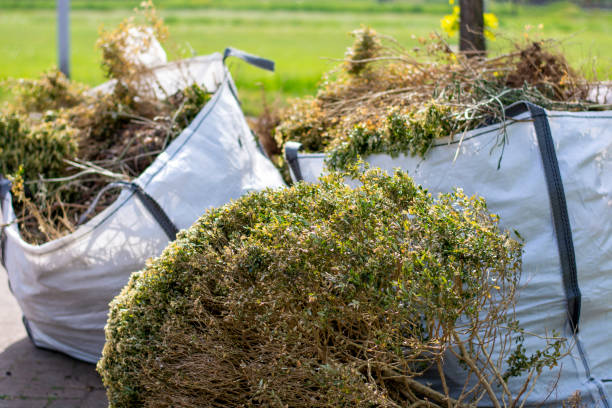 Basement Cleanout Services in Oakwood, PA